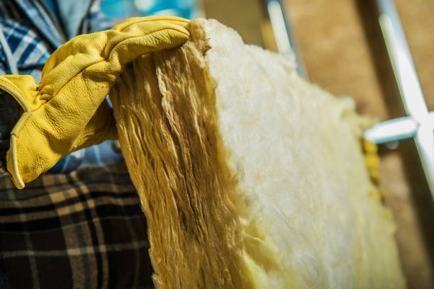Best Insulation Removal  in Dandridge, TN