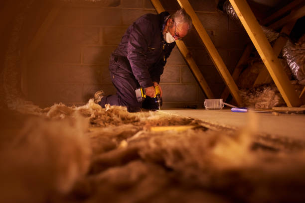Insulation Inspection Services in Dandridge, TN